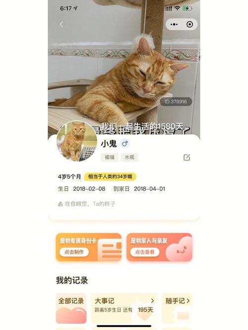 支付宝金宠养猫如何关闭服务？（后悔养猫app）