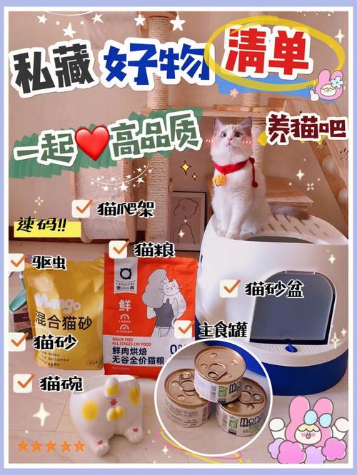 猫咪实用好物推荐？（加养猫好物体验）