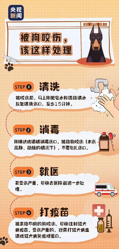 临沂犬证办理流程？（临沂养狗新规）