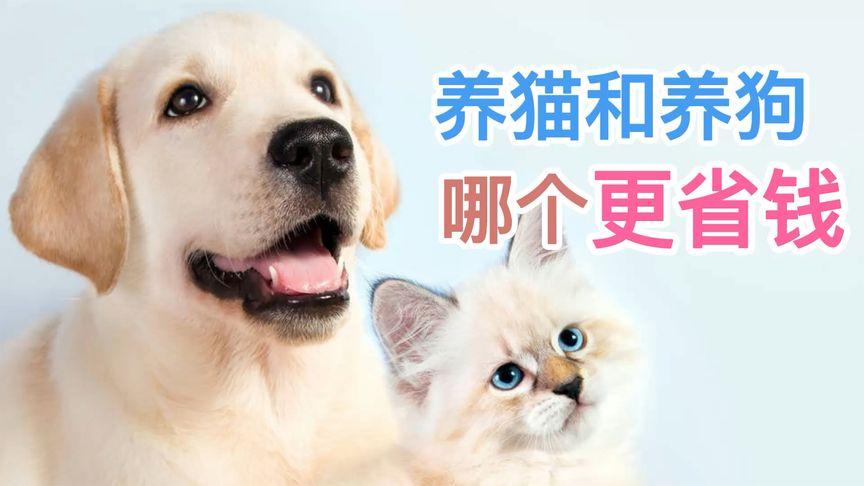 养猫养狗哪个省钱？（养狗养猫 比拼）