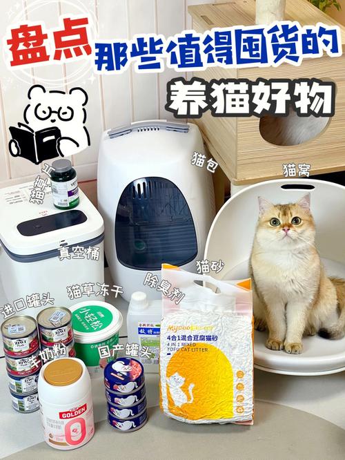 养猫咪新手入门必备物品？（低成本养猫必备）