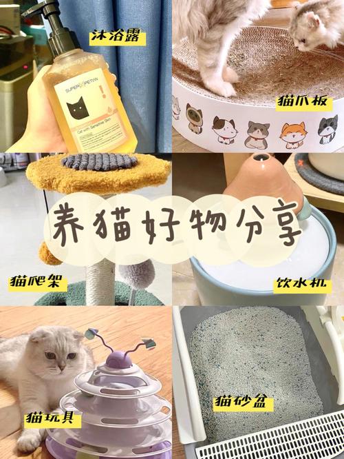 养猫必需品？（加养猫需要什么）