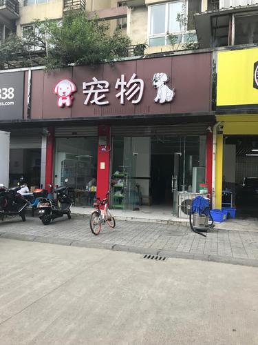 贵阳哪里的宠物店卖的狗好又便宜。要店名。花鸟市场卖的都是病狗嘛？（抖音养狗贵州）