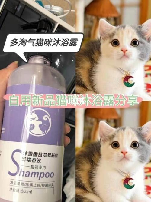 哪些洗发水可以给猫用，洗发水能给猫洗吗？（加养猫沙发洗发水）