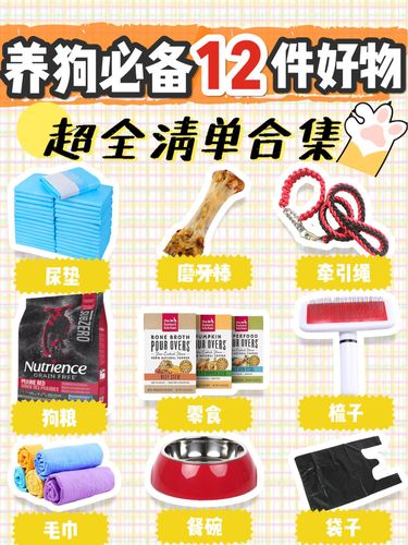 买宠物狗准备什么？（养狗必要用品）