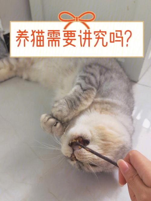 90后养猫的好处与坏处？（养猫很累吗）