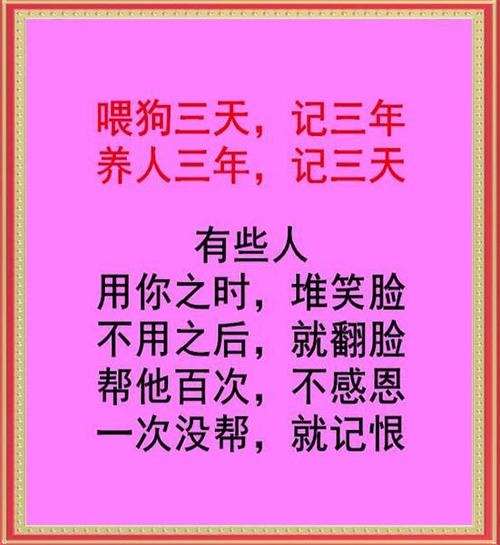 俗话说狗养三天懂得感恩人养三年？（我养狗三天）