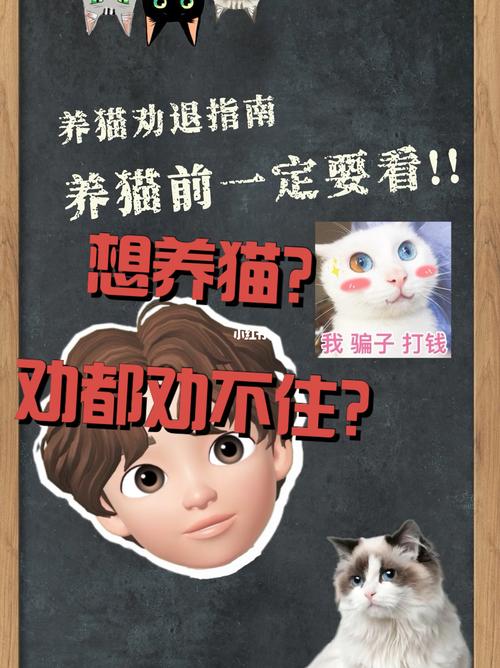 不想让女朋友养猫怎么办？（加养猫劝退员工）