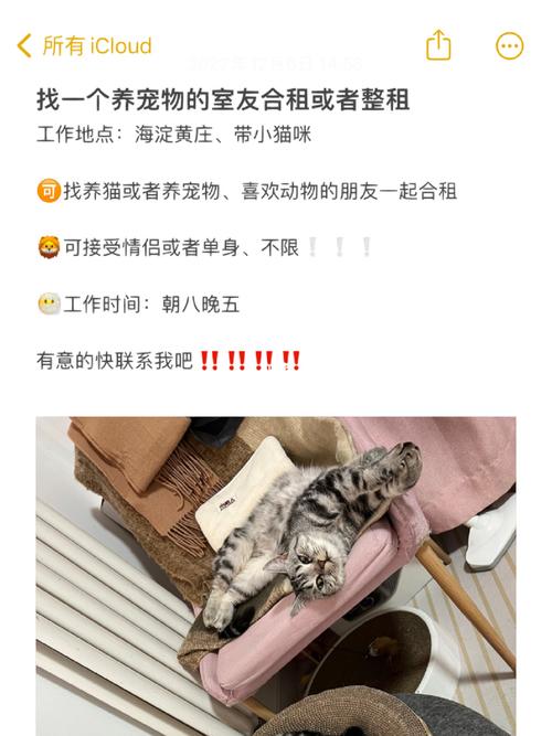 室友养猫我受不了怎么办？（北京房屋合租养猫）