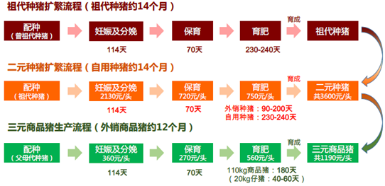 遗传育种专业就业前景？（全国生猪遗传育种）