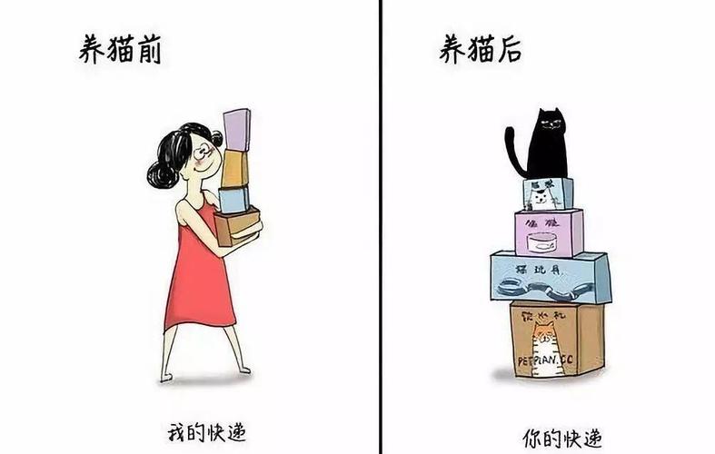 漫画party连载过哪些漫画？（母亲养猫前养猫后漫画）