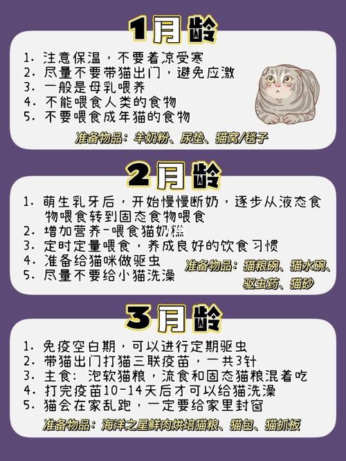 和平精英怎么给猫添猫粮？（养猫后怎么喂养猫粮）