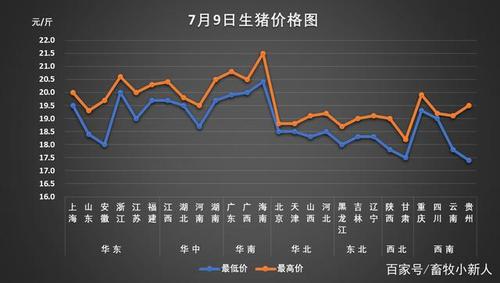 广西巴马县巴马香猪价格？（广西生猪价走势）