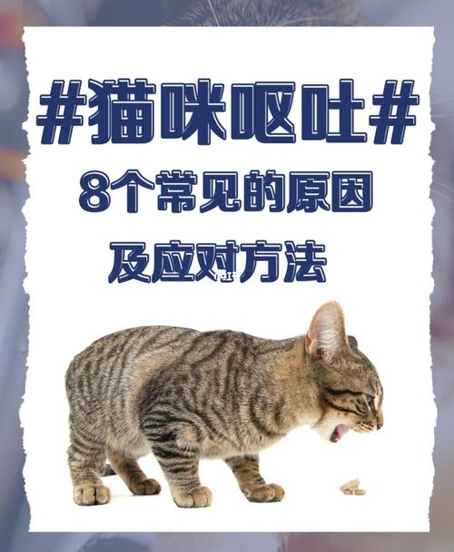 猫咪突然呕吐是怎么回事？（养猫呕吐）