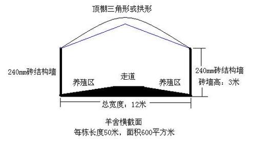 圈养羊圈怎样建合理？（生猪圈舍建筑）