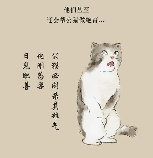 猫嬉戏的诗句？（养猫邪）