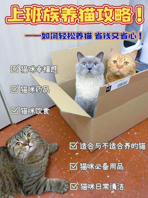 厂里上班适合养猫么？（工厂养猫）