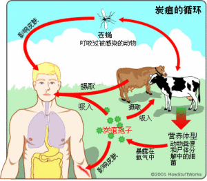 人畜共患病都有哪些? 我只知道鸡鸭是禽流感，牛羊有布氏杆菌，还有什么? 猪有没有？（禽流感  生猪事件）