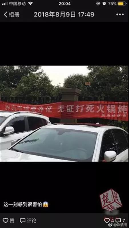 为什么养狗要办证，养猫等其他宠物可以没有证？（养猫要不要办养猫证明）