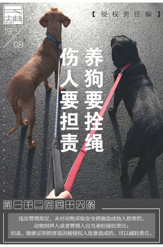 不拴狗绳违的狗能踢死吗？（养狗不拴链条）