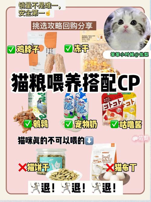 猫咪吃什么猫粮好？（新手养猫科学喂养猫粮推荐）