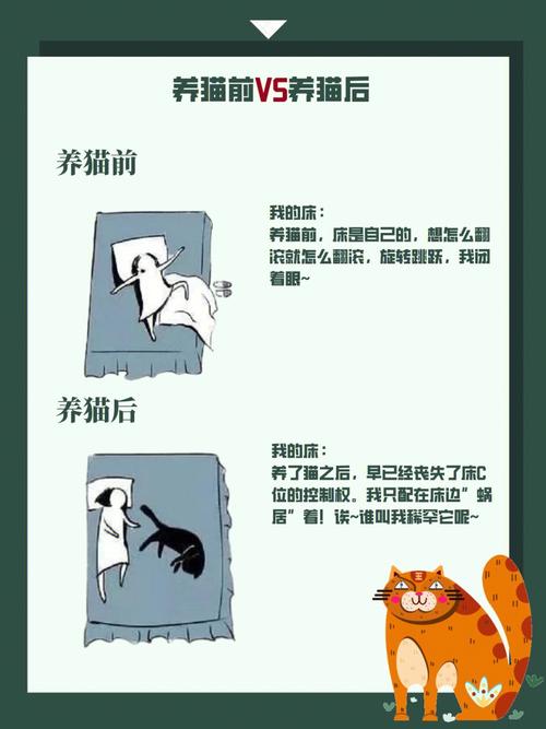 怎么与养猫的女生找话题？（养猫前和养猫后搞笑图案）