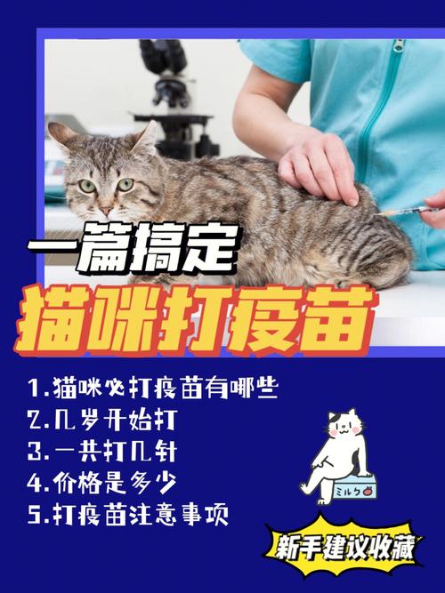 养一只猫咪，要给它打什么疫苗呢？（养猫打什么）