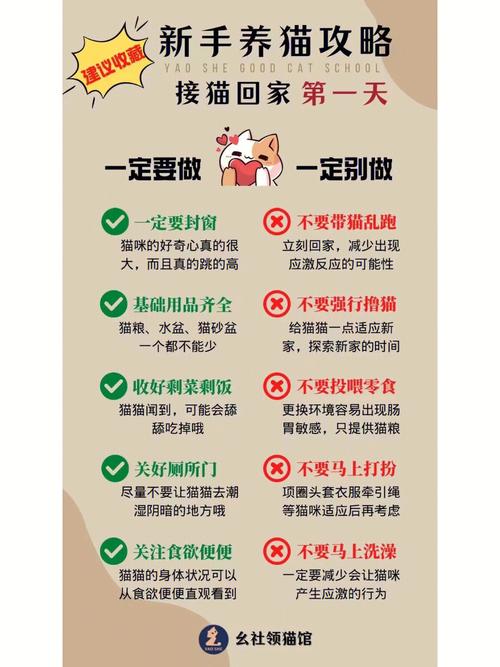 民法典对养猫的规定？（养猫的责任）