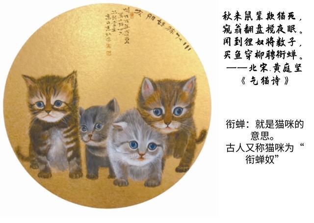 猫和鸭偏旁分别是？（宋朝养猫家具）