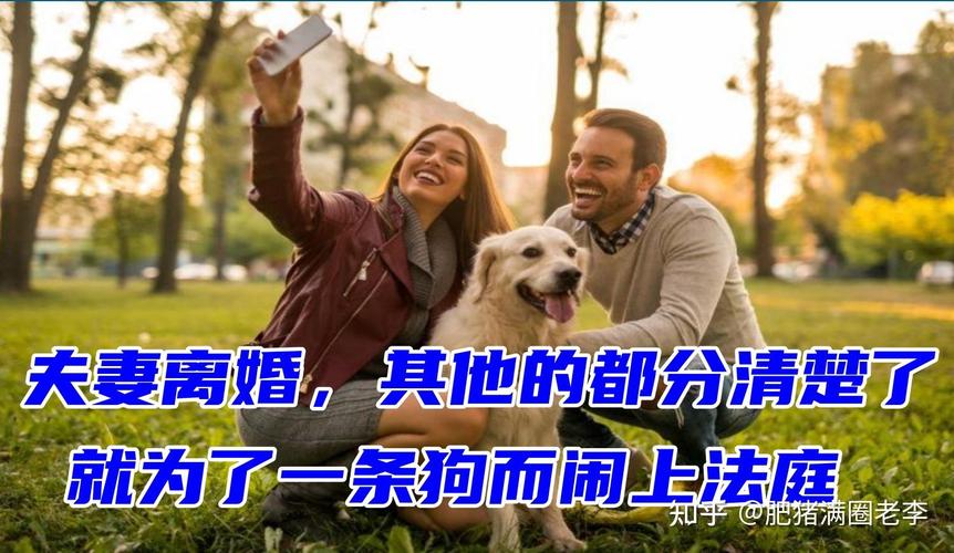 娶了个不孝顺父母的老婆怎么办？（养只狗当老婆）