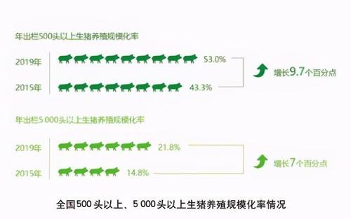 怎么换算畜禽养殖？（国家生猪养殖方案）