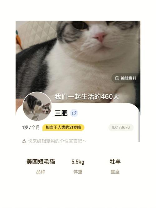 tt语音养猫领皮肤是真的吗（好养猫骗子）