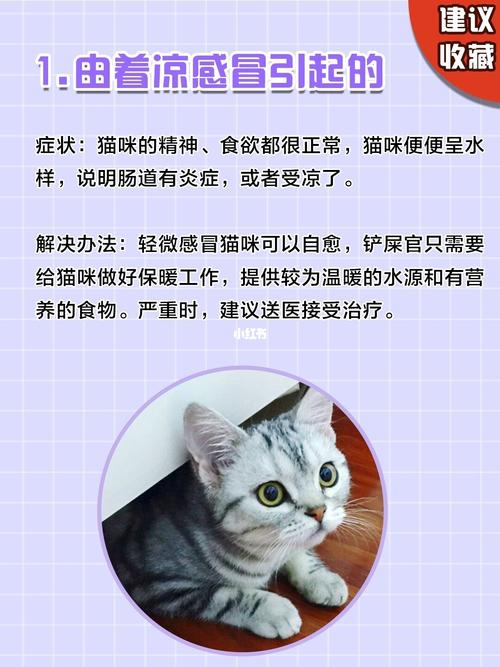 猫拉稀最快的解决方法？（养猫孩子腹泻）