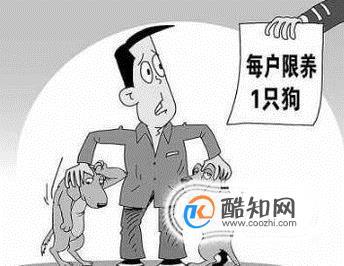 小区养狗扰民怎么办？（养狗算扰民嘛）