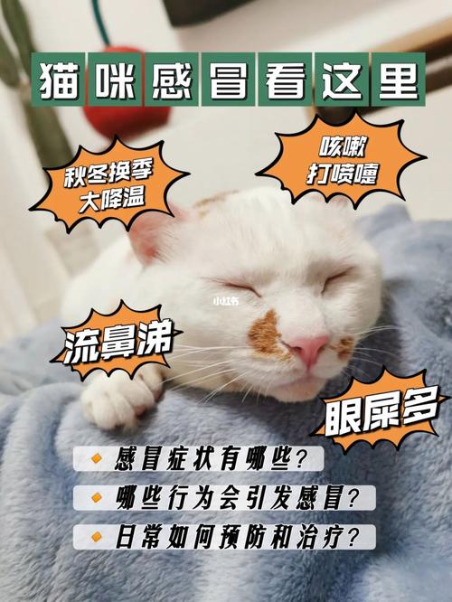 猫咪总是咳嗽是怎么回事？（养猫老咳嗽）