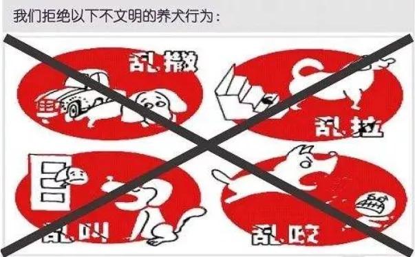 城市为什么不禁止养狗？狗又乱拉屎，又乱吼叫扰民？（想养狗怕拉屎）