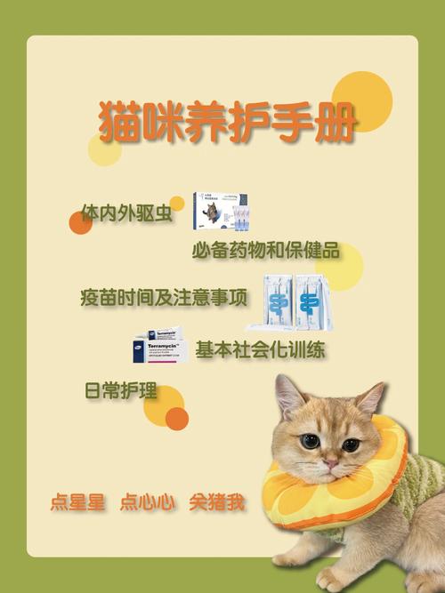 冠能养猫护理手册？（养猫手册感人）