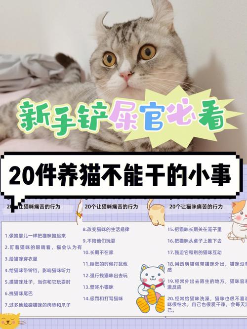 叛逆期的孩子养猫能缓解压力吗？（养猫 快捷指令）