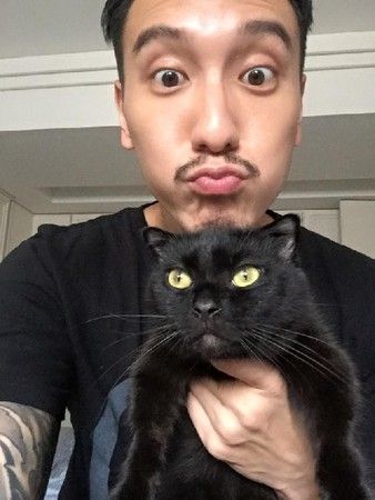 养猫的男生是什么性格？（有点爱养猫）