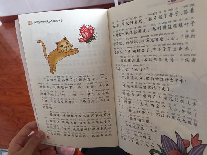 一只小飞的猫的 故事？（养猫这篇作品）