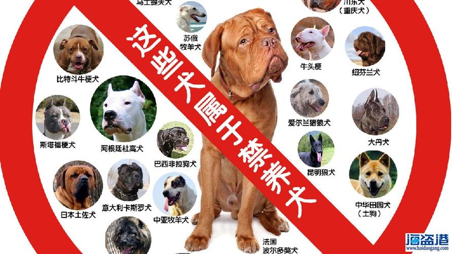 辽源市养犬管理条例？（辽源狗类禁养）