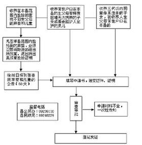 合法收养子女的手续流程？（青岛收养猫）