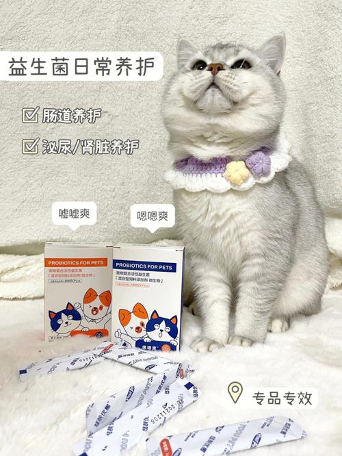 养猫必备三大救命药？（家里养猫出血）