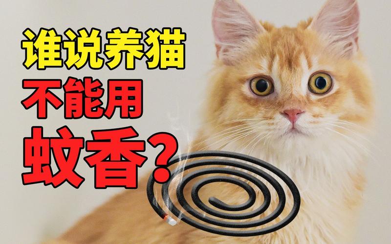 养猫能点蚊香或驱蚊产品吗？（上海隔离养猫）