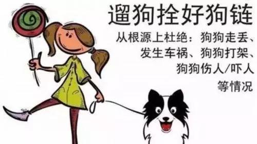 遛狗不牵绳还打人后续？（养狗不公平）