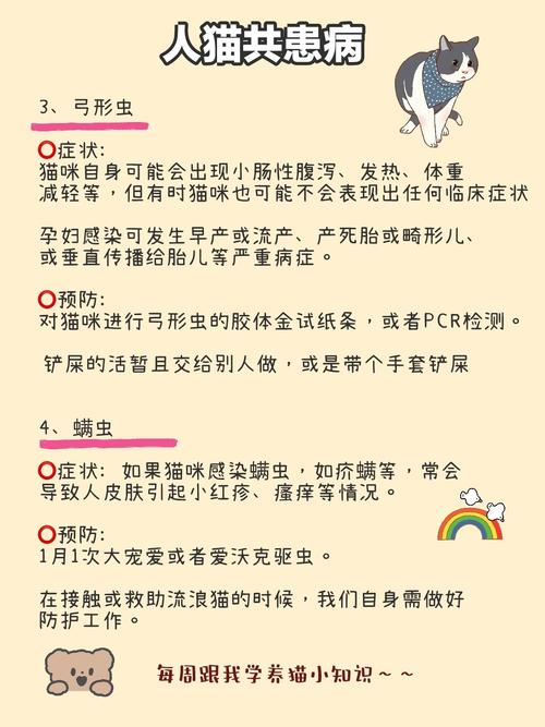 我对螨虫过敏可以养猫么？（螨虫过敏养猫）