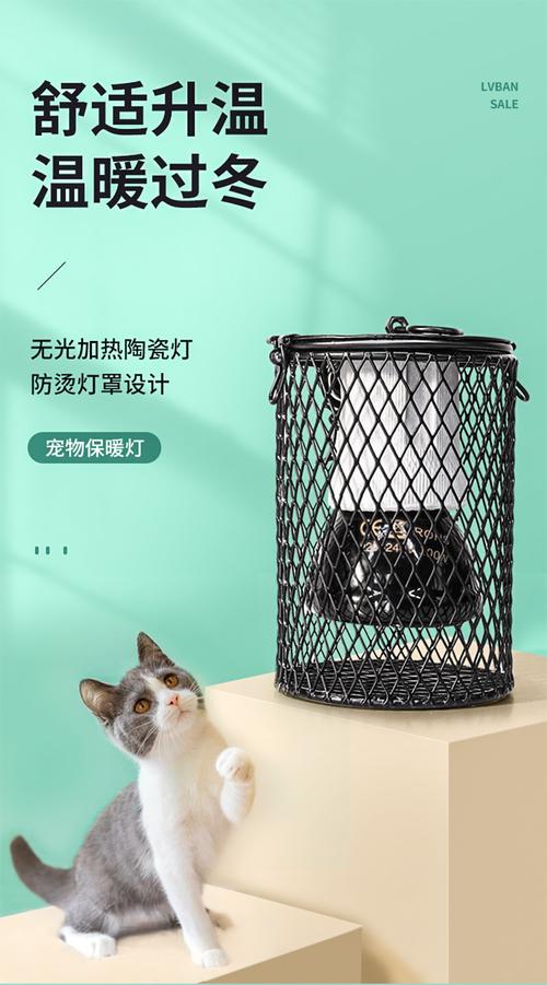 猫咪取暖灯选哪种？（养猫的灯）