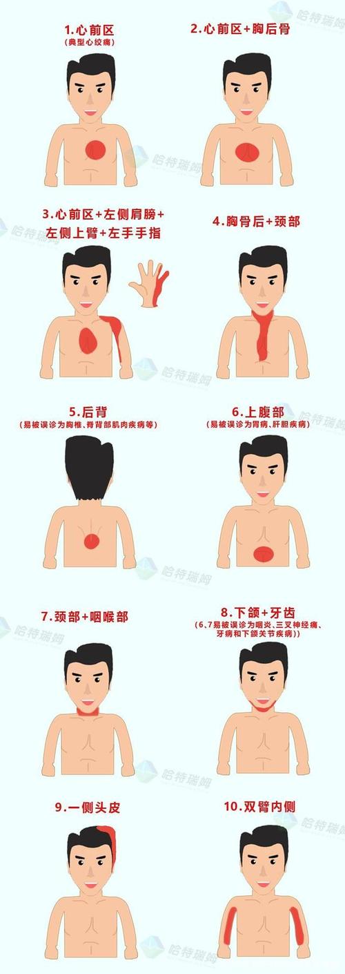 每一天我们生活的城市都有多少故事发生？（养狗治心梗）