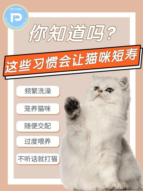 家里生了小猫怎么卖？（代养猫广告）