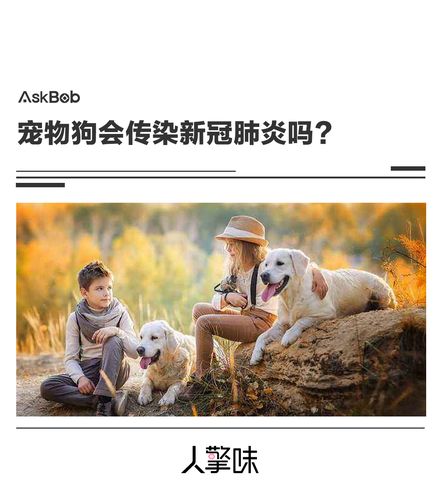 家里的狗狗会传染病毒吗？（养狗得新冠）